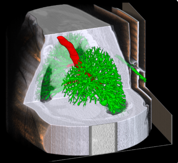 A bright pink sheet of paper used to wrap flowers curves in front of rich blue background