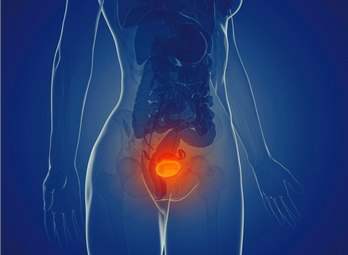 A bright pink sheet of paper used to wrap flowers curves in front of rich blue background